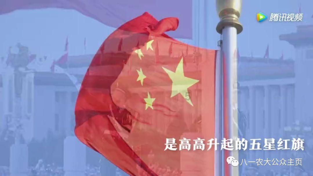 如何快速实现物流自动化?这里有你想知道的答案!